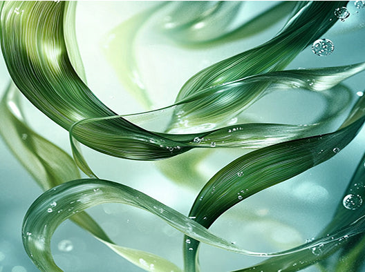 Seaweed collagen