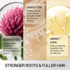 RX2 Root Revitalizer