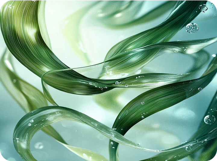 Seaweed collagen